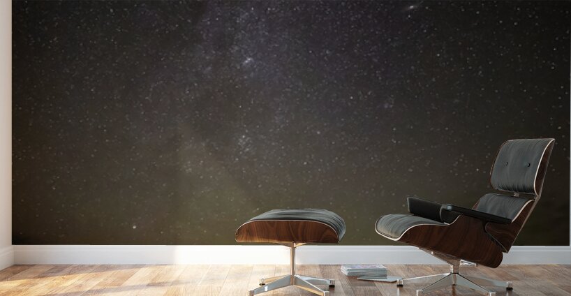 Starlit Tranquility Wall Murals