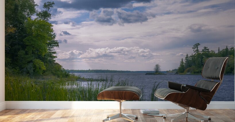 Serene Solitude Wall Murals