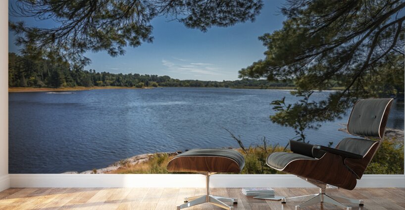 Tunnel Island Trail Wall Murals