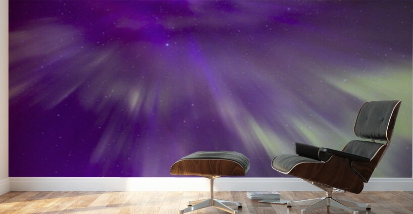 Night Bloom Wall Murals