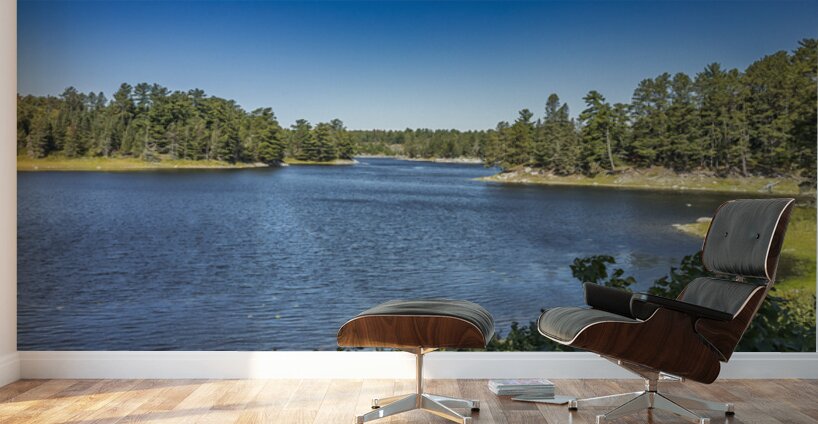 Tunnel Island Trail Wall Murals