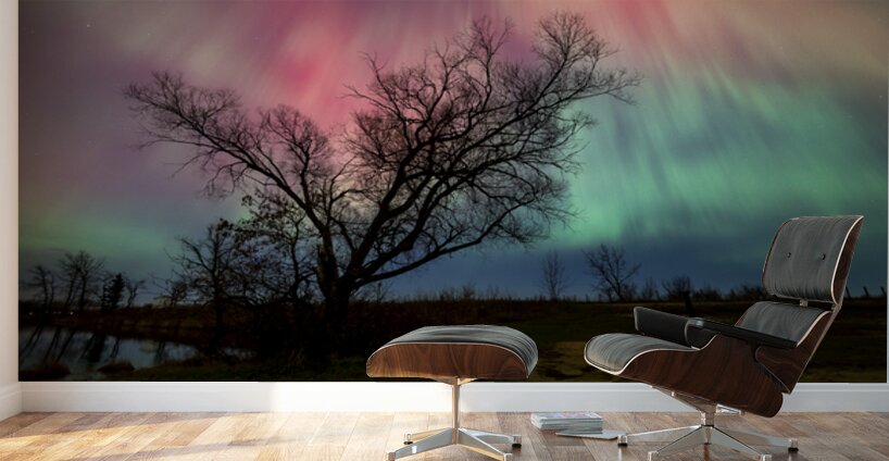 Under Heavens Blessing Wall Murals