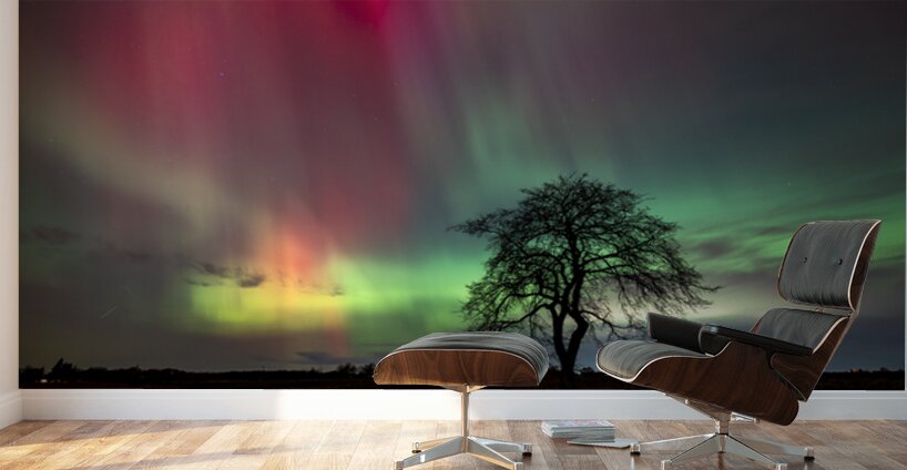 Aurora Dance Wall Murals