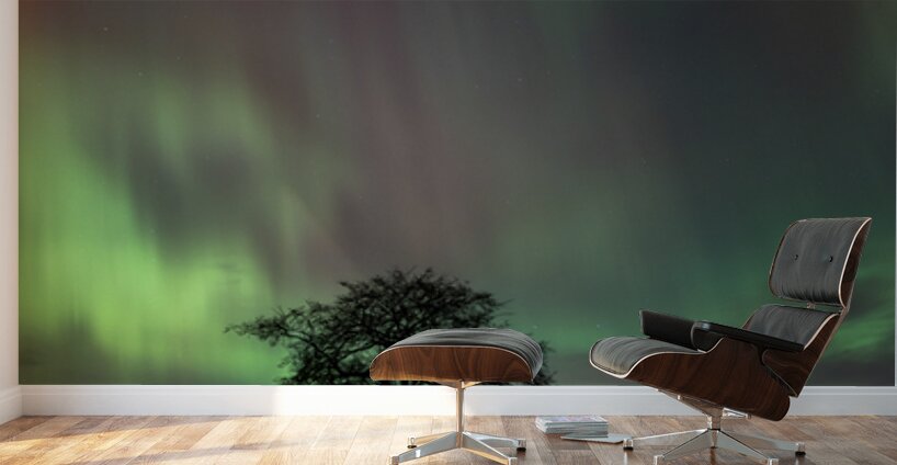 Northern Lights Dance Wall Murals