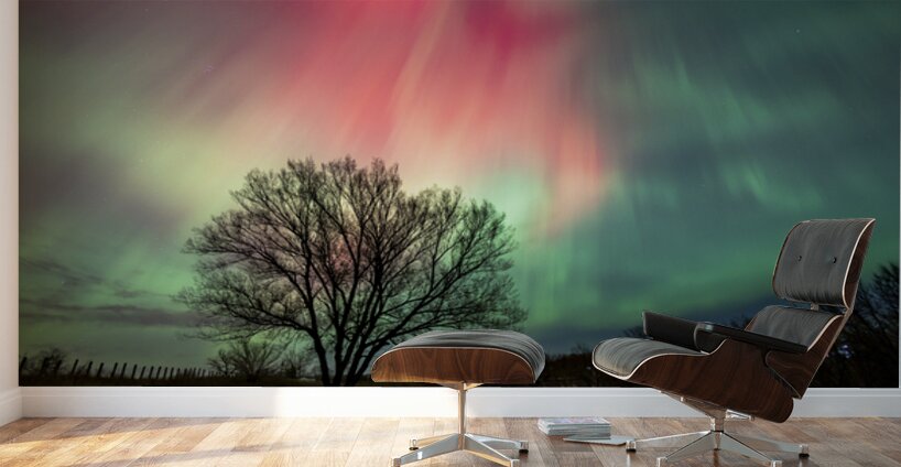 Cosmic Flames Wall Murals