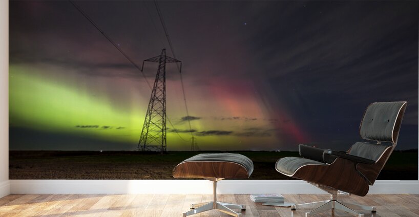 An Electric Night Wall Murals