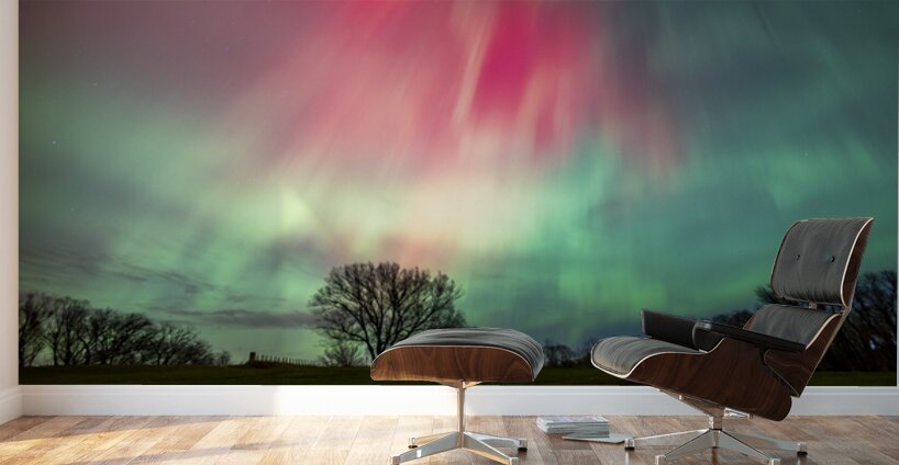 Aurora Colorscape Wall Murals