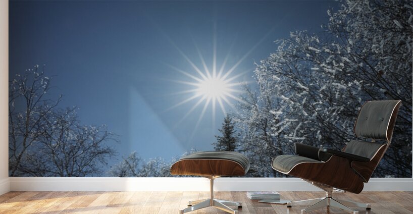 Winter Sunburst Wall Murals