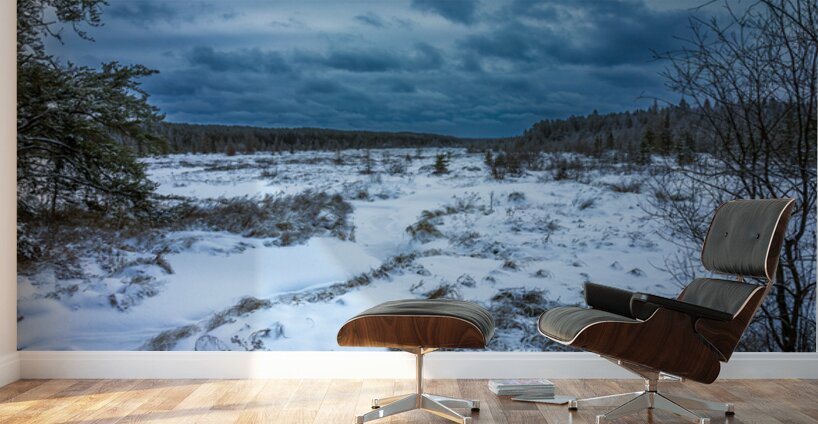 Winter Quietude Wall Murals