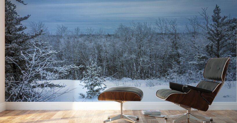 Whiteshell Winter Calm Wall Murals