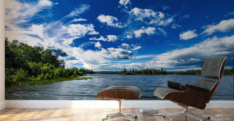 Falcon Lake Wall Murals