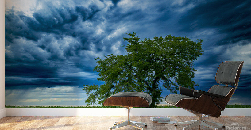 Lone Tree After the Storm Wall Murals