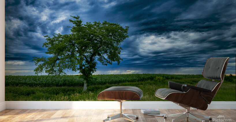 Lone Tree After the Storm Wall Murals