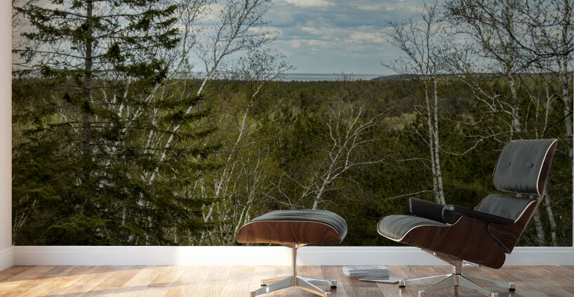 Ancient Beach Trail Wall Murals