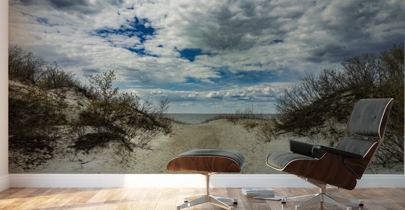 To the Beach Wall Murals