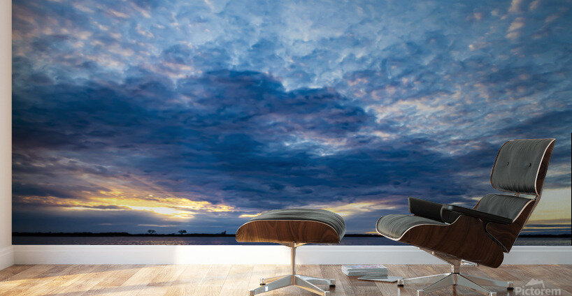 Flooded Field Wall Murals