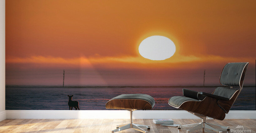 Deer in Sunrise Wall Murals