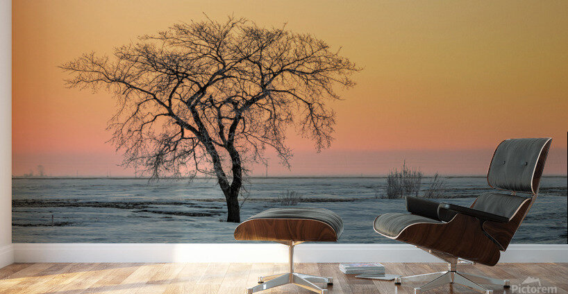 Lone Tree in Pastel Wall Murals