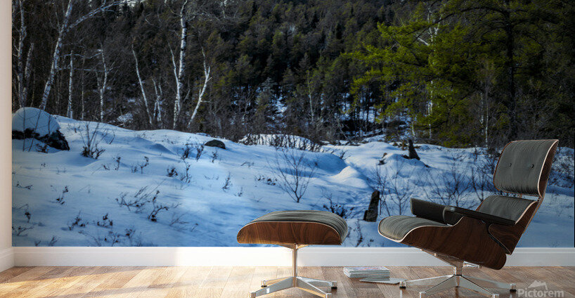 Winter Trail Wall Murals