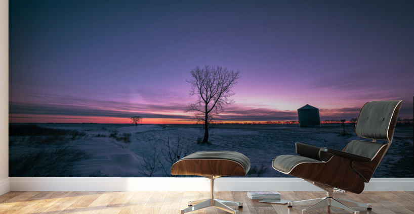 Lone Trees and Grain Bin Wall Murals