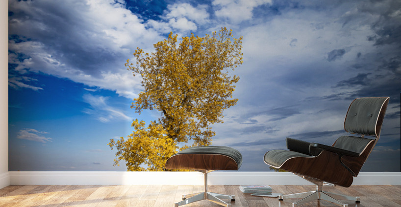 Lone Trees in the Fall Wall Murals