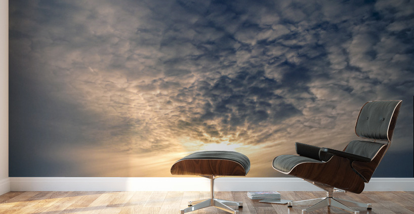 Sunset Over Winter Field Wall Murals