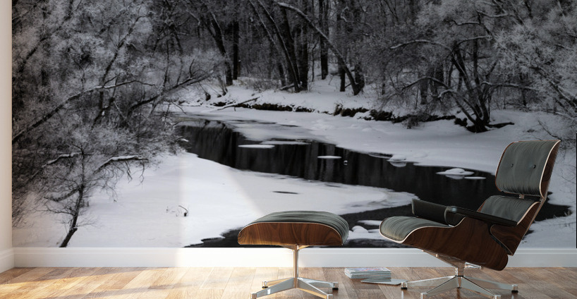 Spillway in Winterfog Wall Murals