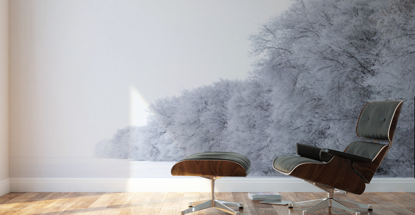 Tree Row in Hoarfrost Wall Murals
