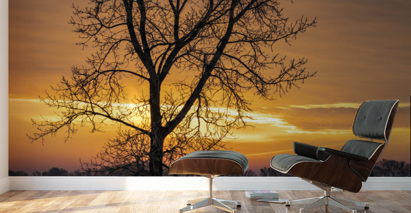 Lone Tree at Sunrise Wall Murals
