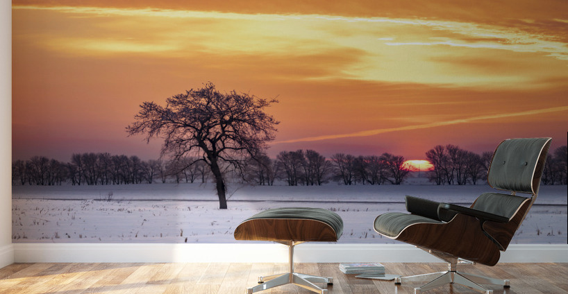Lone Tree at Sunrise Wall Murals