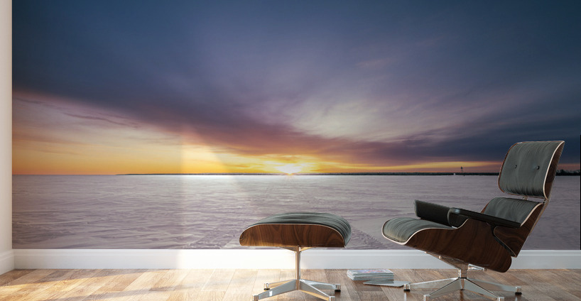 Tracking Sunrise Wall Murals