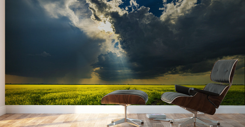 Heavens Ray Wall Murals