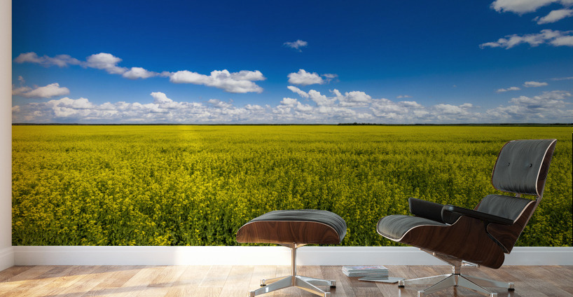 Blue and Yellow Wall Murals