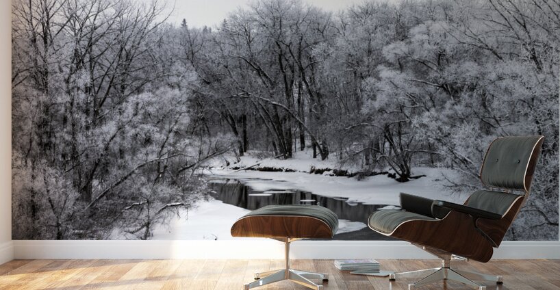 Spillway in Winterfog Wall Murals