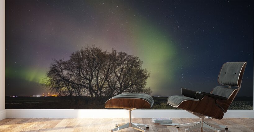 Angels Landing Wall Murals