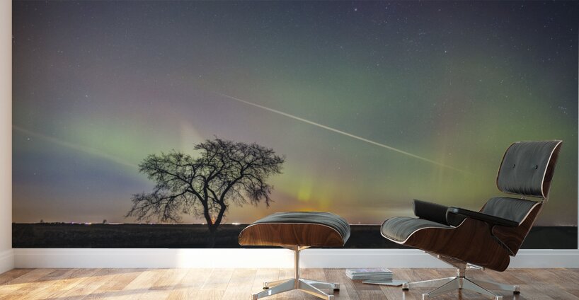 Moonrise Under Northern Lights Wall Murals