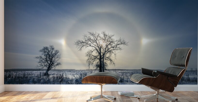 Sundogs Behind Lone Trees Wall Murals