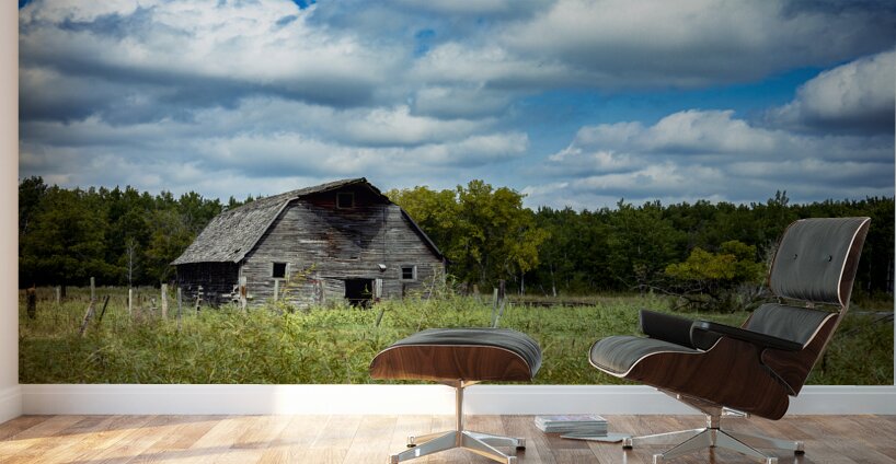 Old Barn on a Cloudy Day Wall Murals