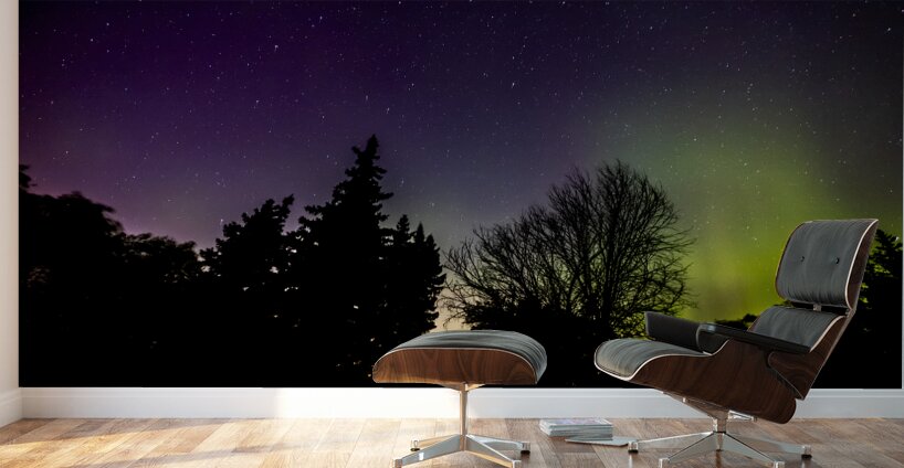 Aurora In the Woods Wall Murals