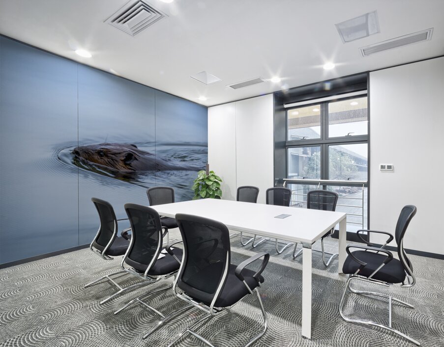 Beaver On still Waters Wall Printing