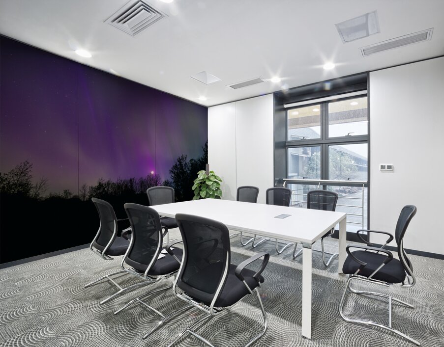 Aurora and Moonlight over the Canopy Wall Printing