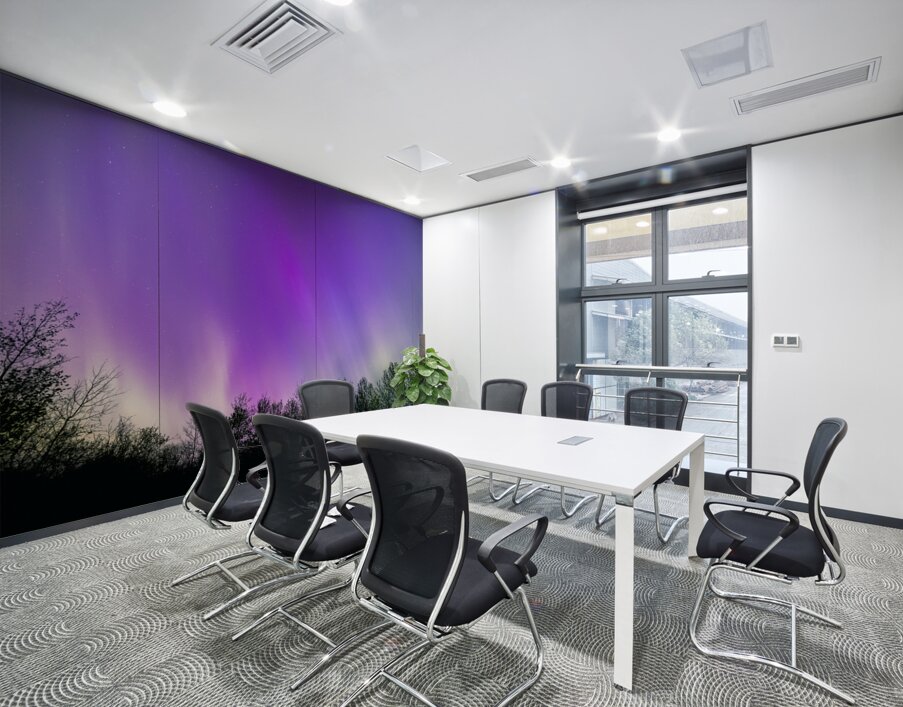 Northern Lights Above the Canopy Wall Printing