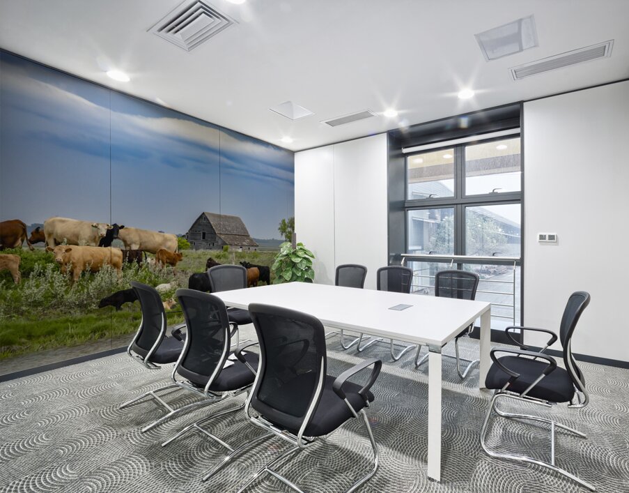 Cattle on a Hill Wall Printing