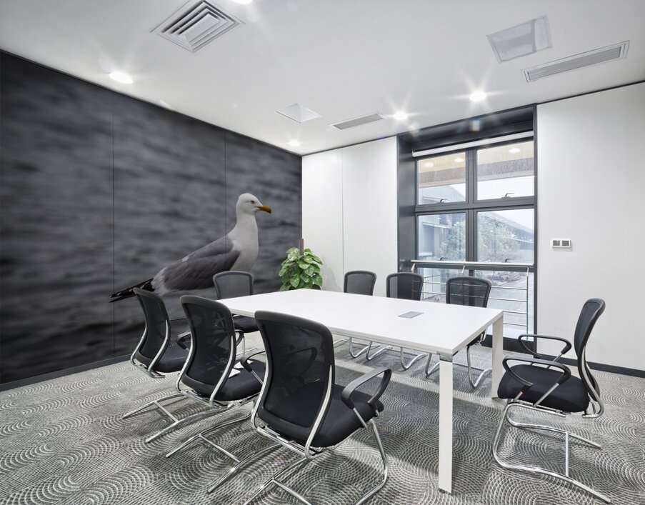 Gull Wall Printing