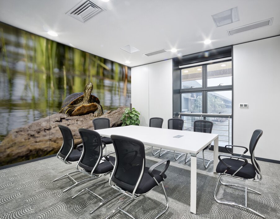 Painted Turtle Wall Printing