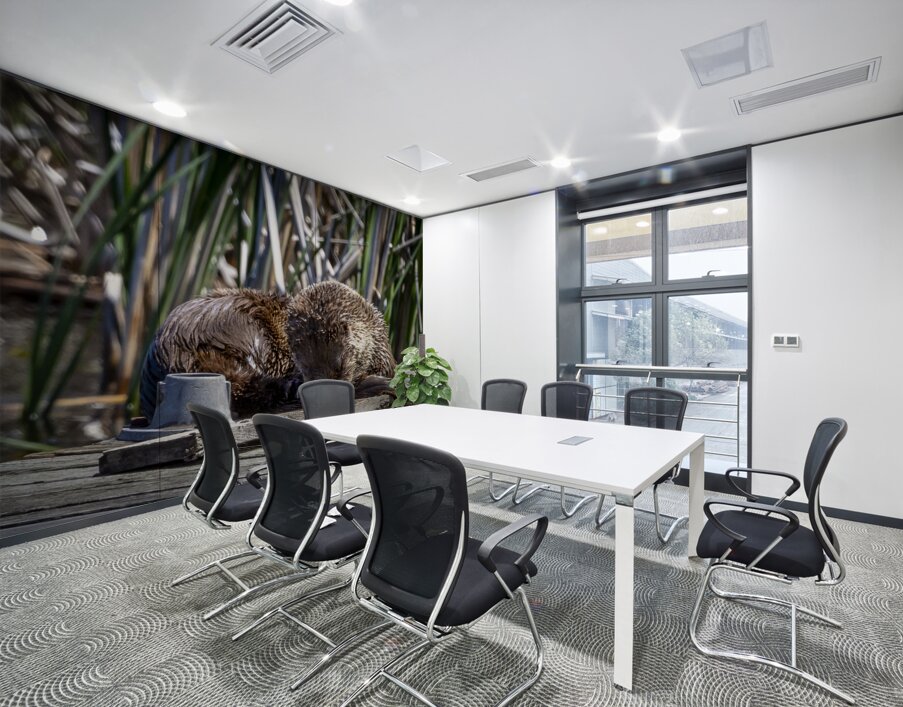 Otter Wall Printing