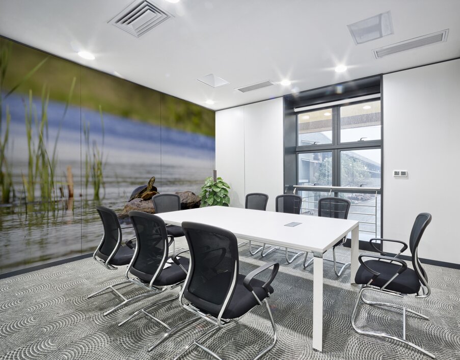 Painted Turtle Wall Printing