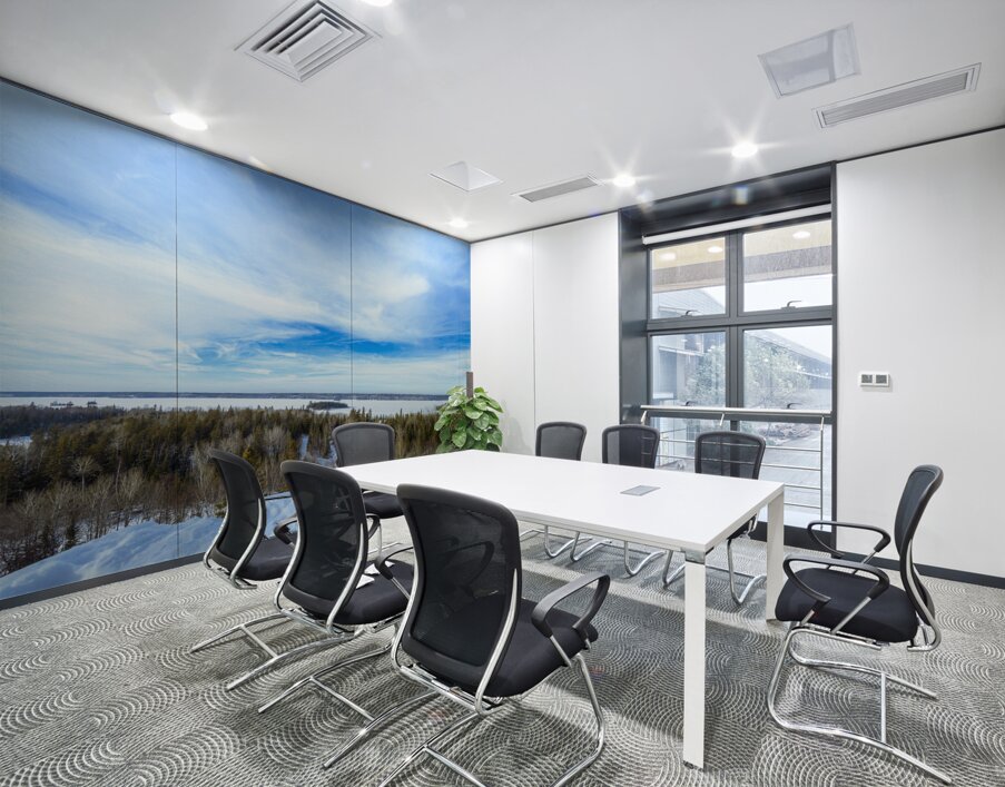 Falcon Lake View Wall Printing