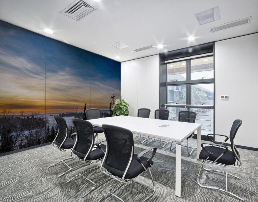 Falcon Lake View Wall Printing