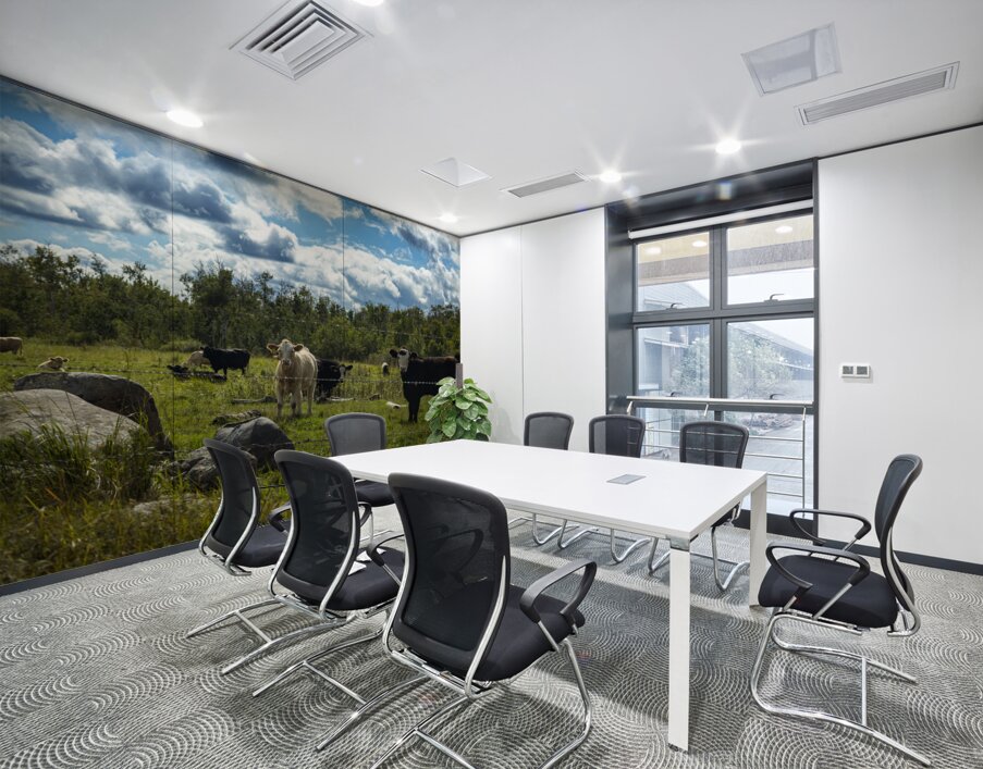 Cattle in Pasture Wall Printing